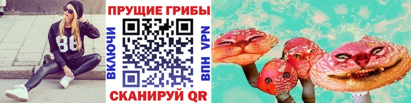 Псилоцибиновые грибы Psilocybe  Дрезна 